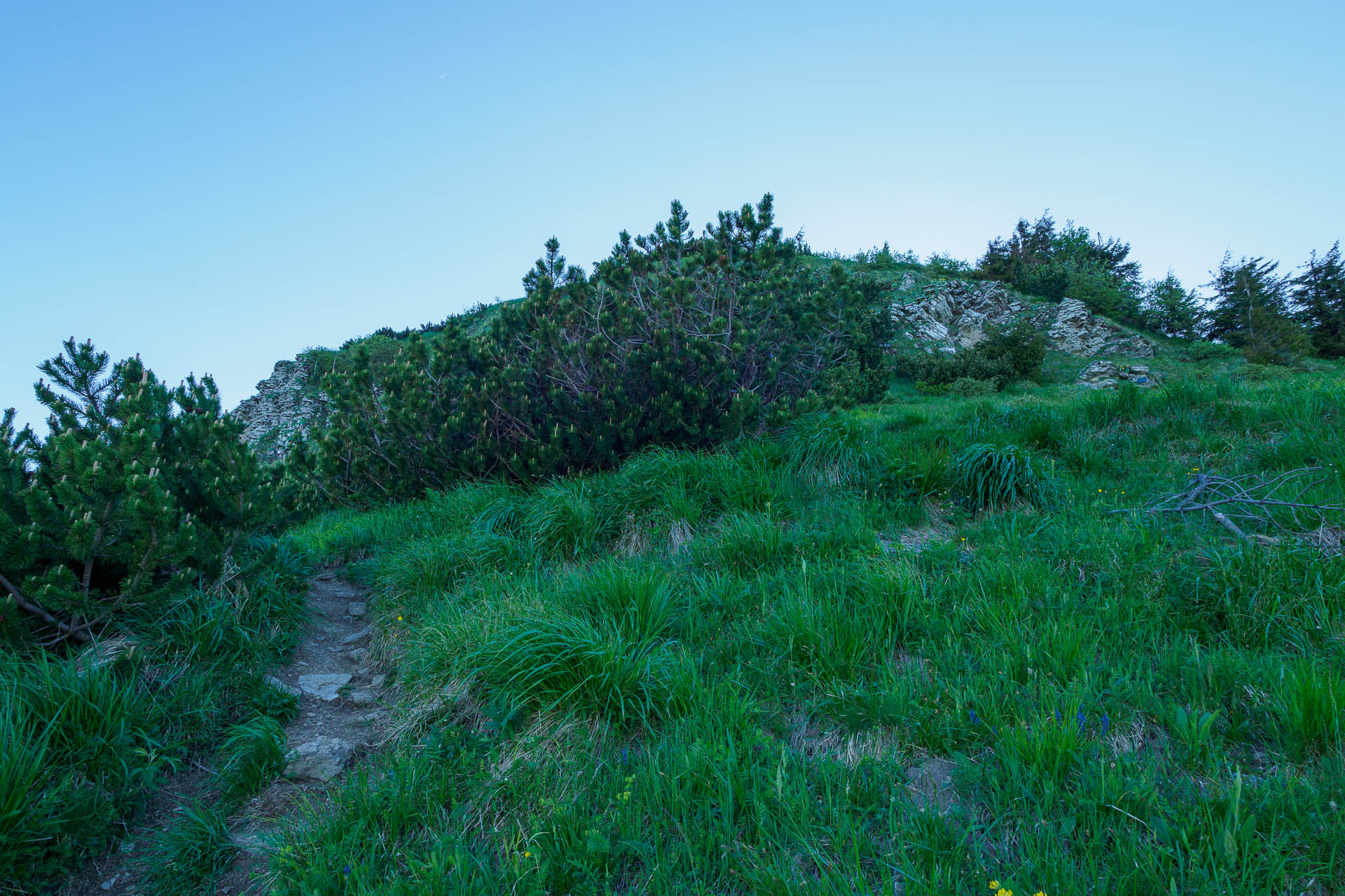 Zo Salaša pod Suchým vrchom cez Ploskú na Borišov (Veľká Fatra)