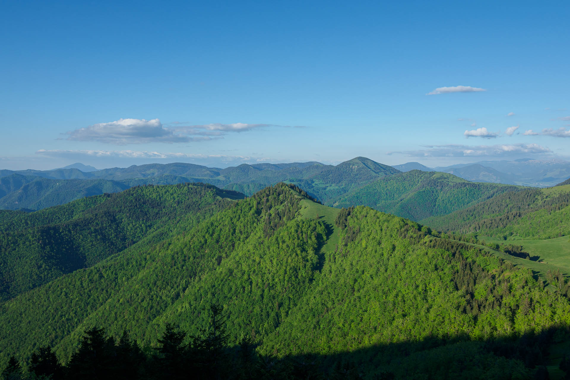 Zo Salaša pod Suchým vrchom cez Ploskú na Borišov (Veľká Fatra)