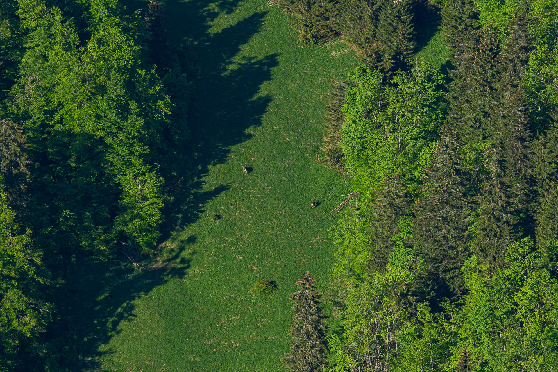 Zo Salaša pod Suchým vrchom cez Ploskú na Borišov (Veľká Fatra)