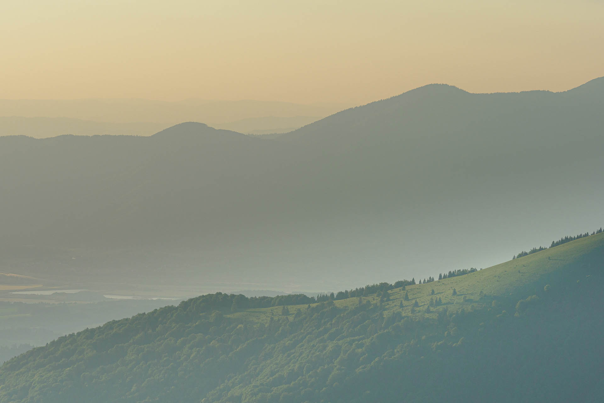 Zo Salaša pod Suchým vrchom cez Ploskú na Borišov (Veľká Fatra)