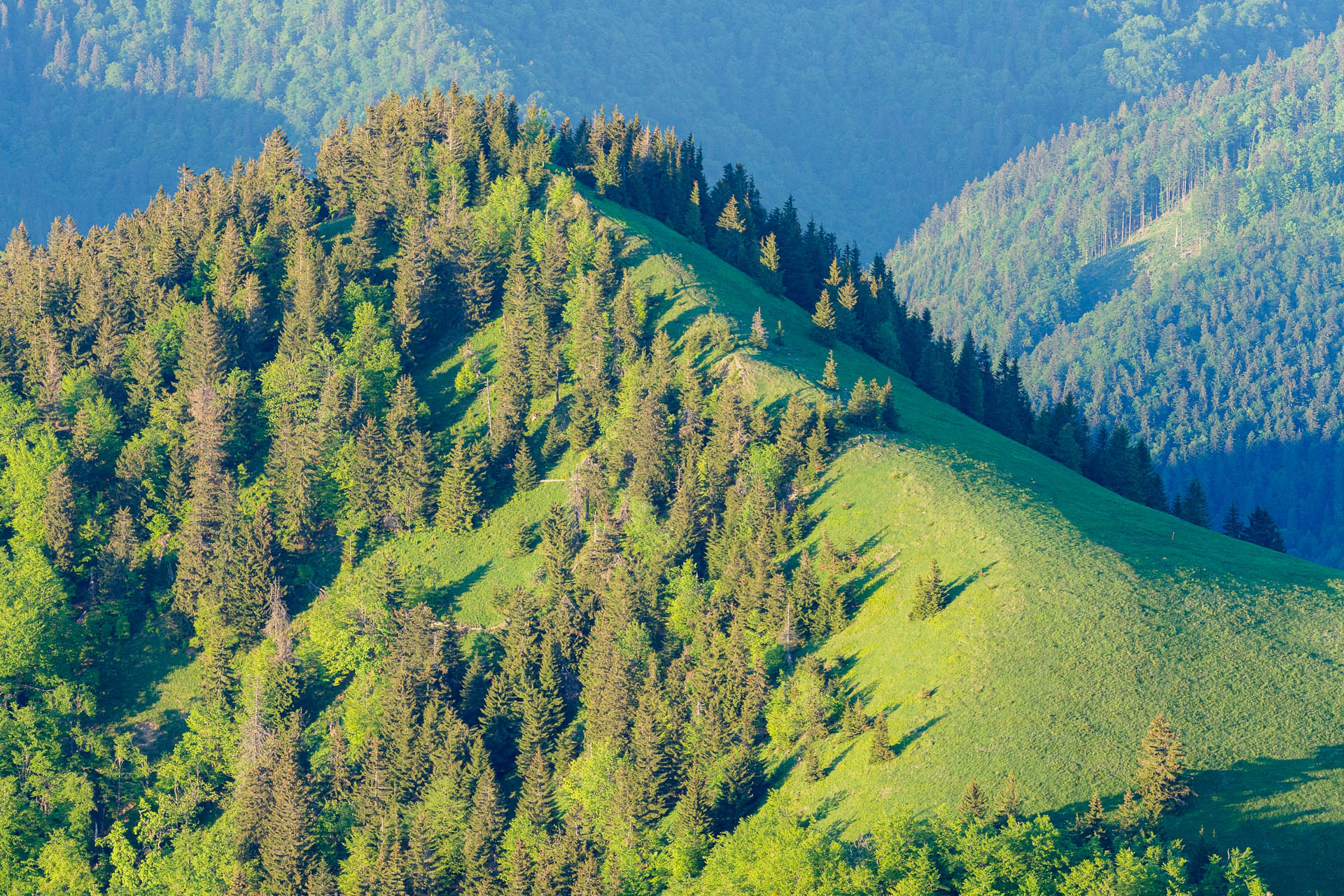 Zo Salaša pod Suchým vrchom cez Ploskú na Borišov (Veľká Fatra)