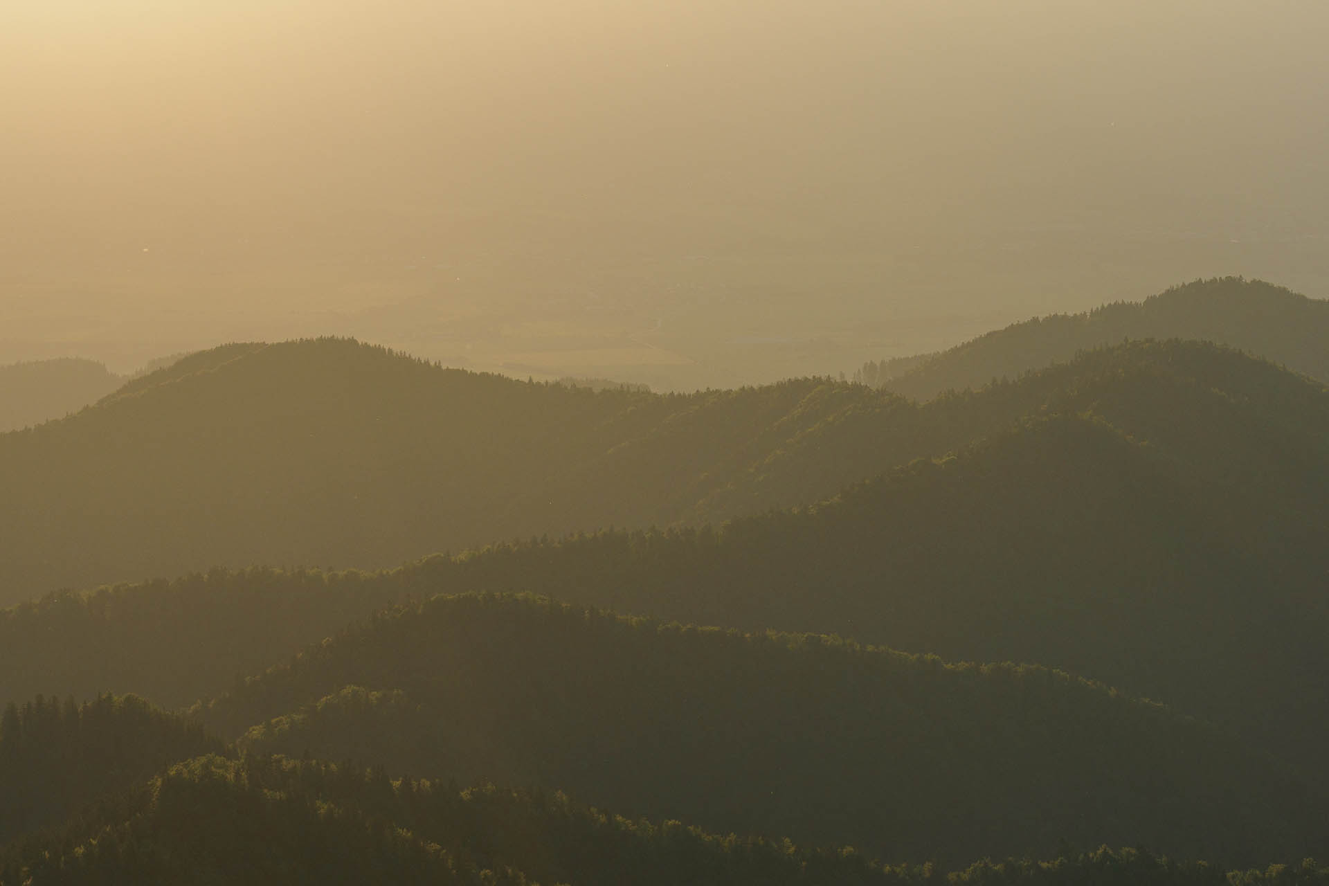 Zo Salaša pod Suchým vrchom cez Ploskú na Borišov (Veľká Fatra)