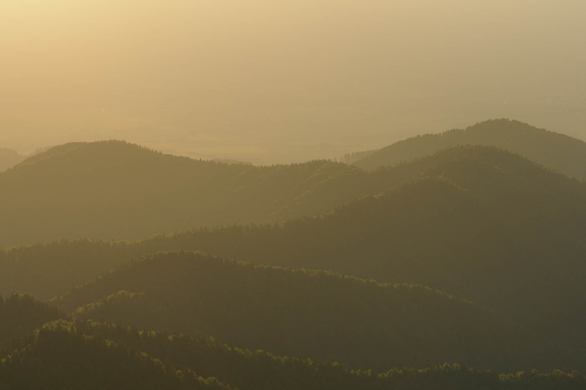 Zo Salaša pod Suchým vrchom cez Ploskú na Borišov (Veľká Fatra)