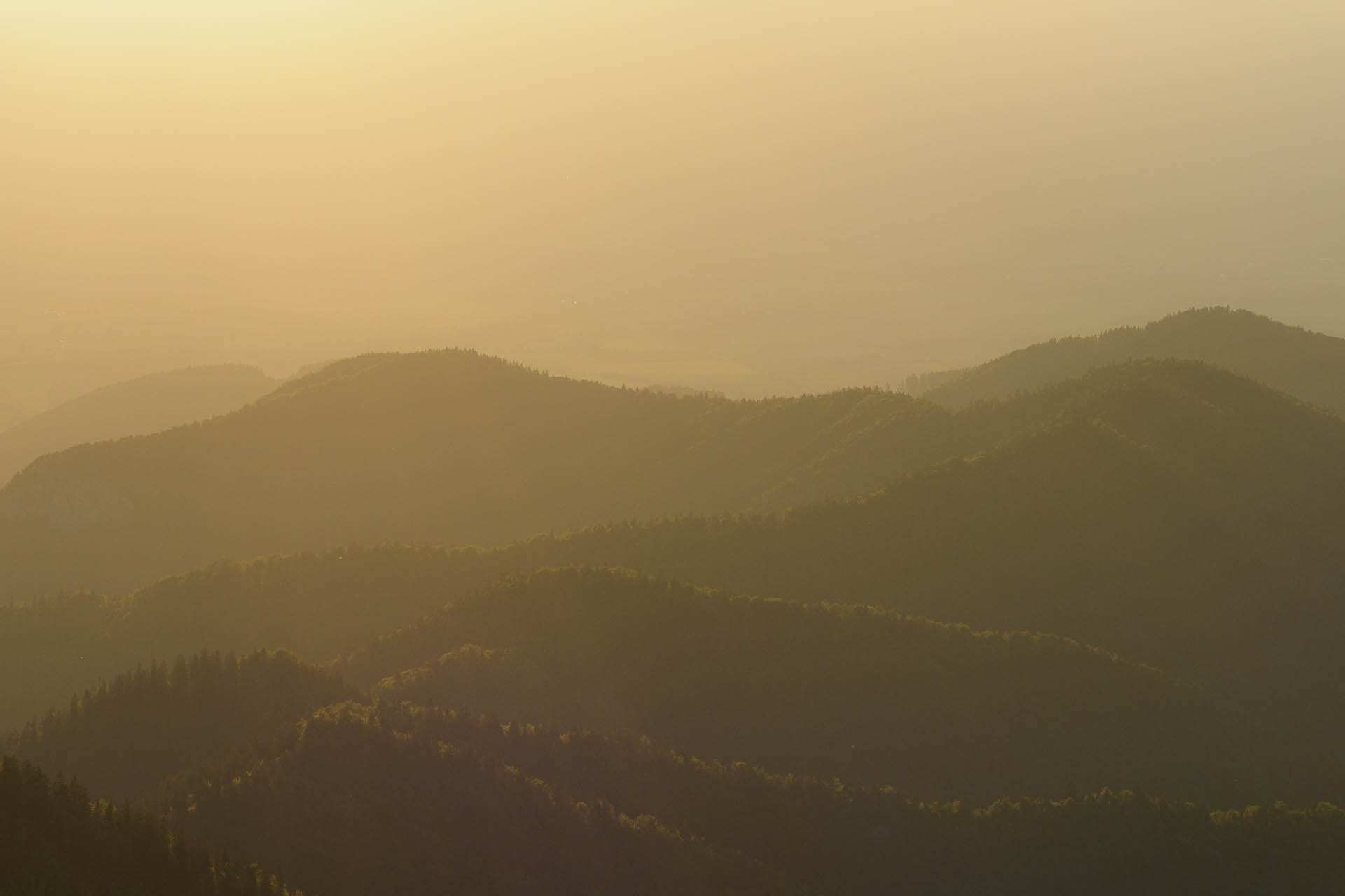 Zo Salaša pod Suchým vrchom cez Ploskú na Borišov (Veľká Fatra)