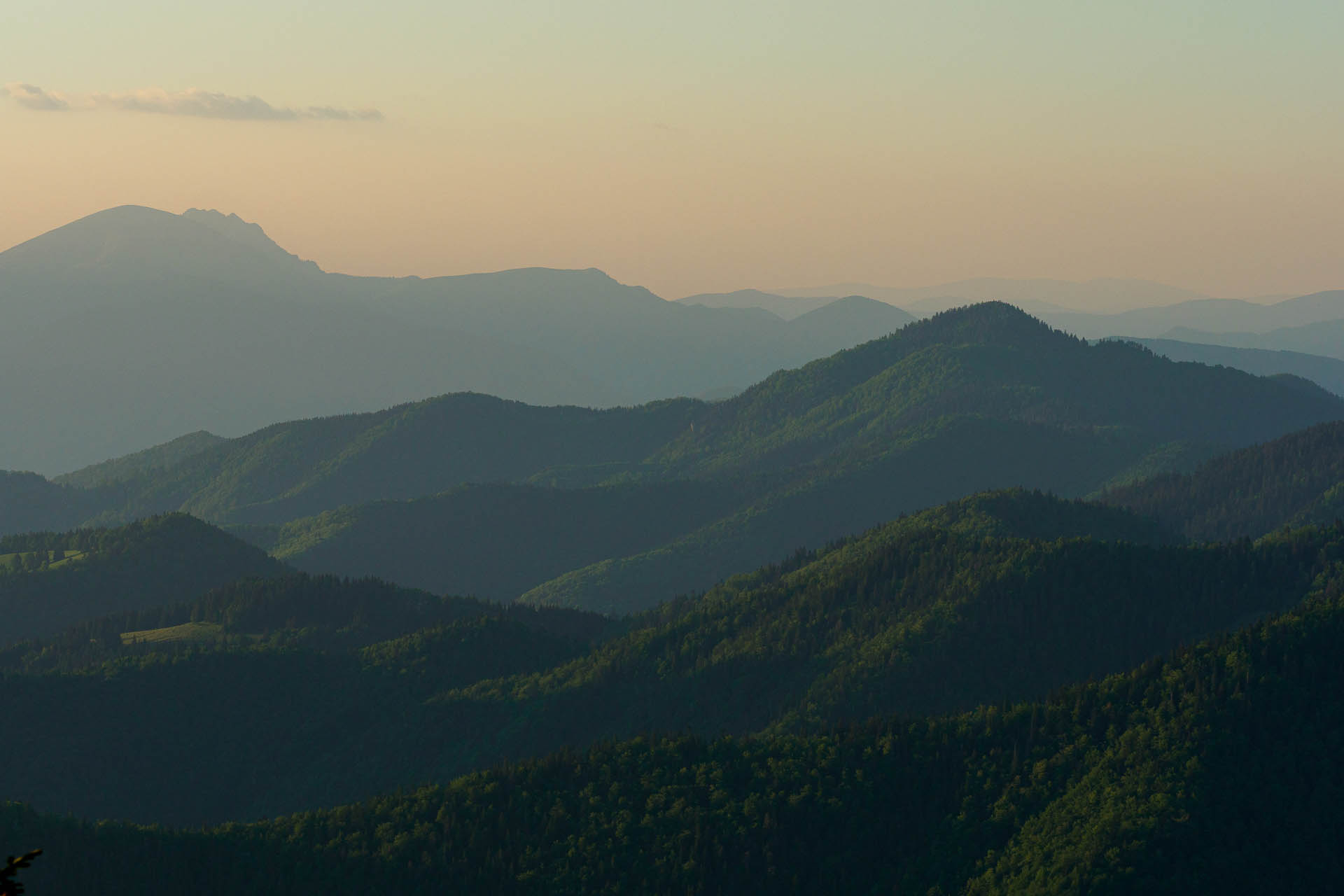 Zo Salaša pod Suchým vrchom cez Ploskú na Borišov (Veľká Fatra)