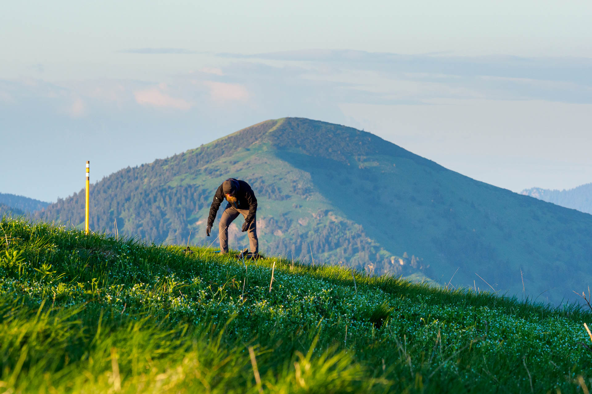 Zo Salaša pod Suchým vrchom cez Ploskú na Borišov (Veľká Fatra)