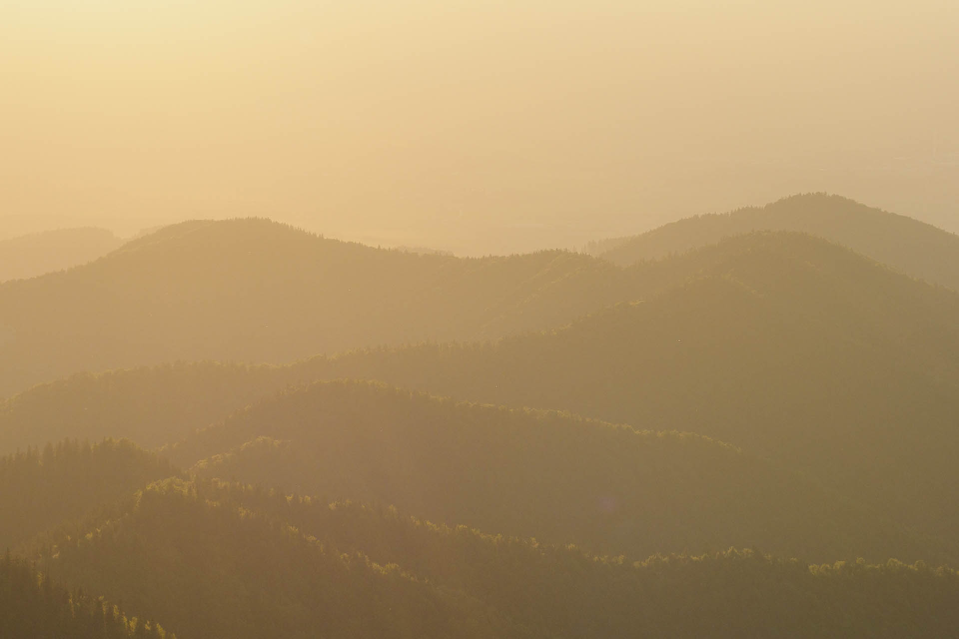 Zo Salaša pod Suchým vrchom cez Ploskú na Borišov (Veľká Fatra)