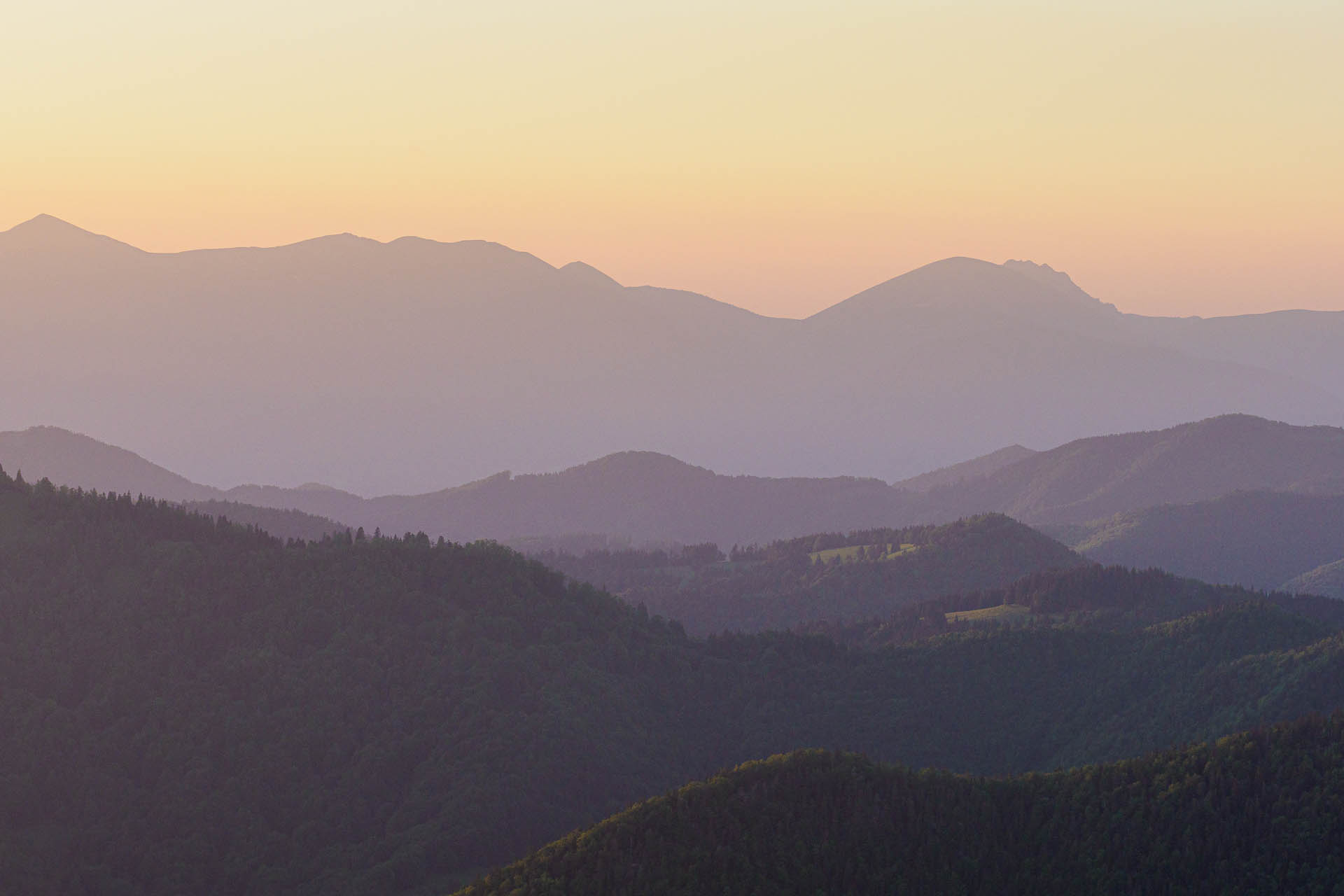 Zo Salaša pod Suchým vrchom cez Ploskú na Borišov (Veľká Fatra)