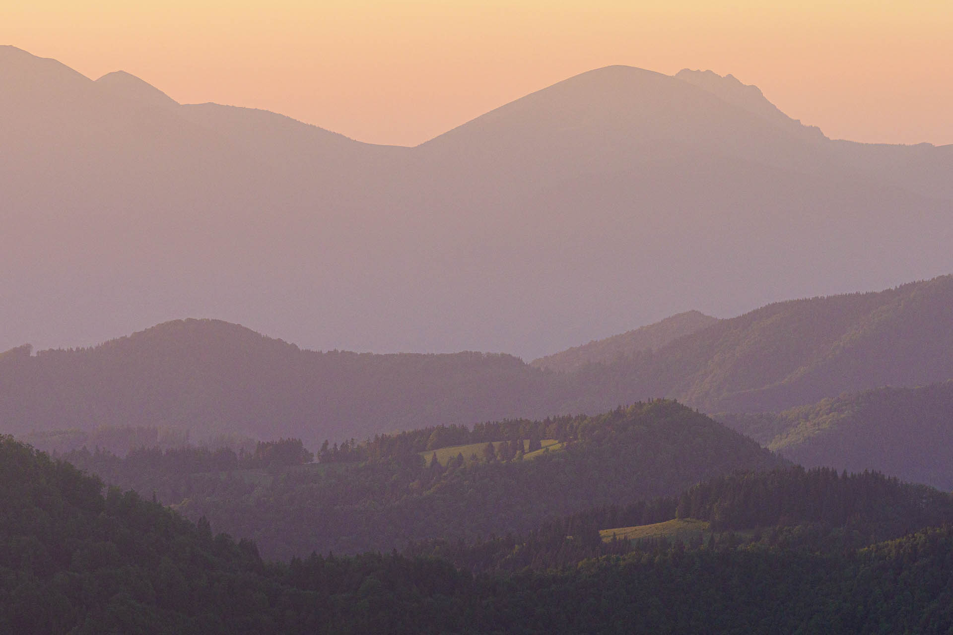 Zo Salaša pod Suchým vrchom cez Ploskú na Borišov (Veľká Fatra)